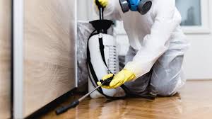 Emergency Pest Control in Shoreview, MN